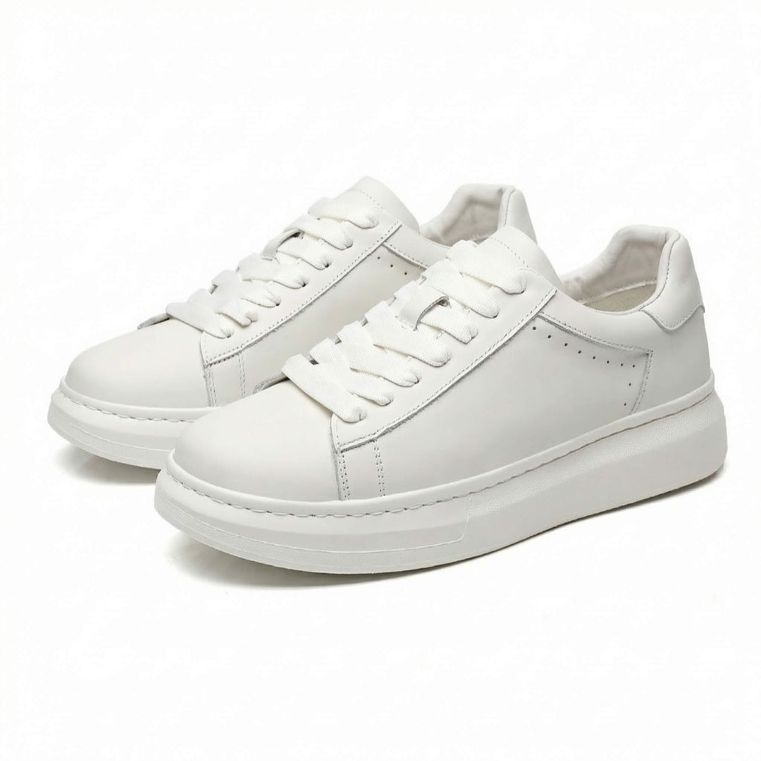 HARRINGTON | STREET SNEAKER FOR MEN