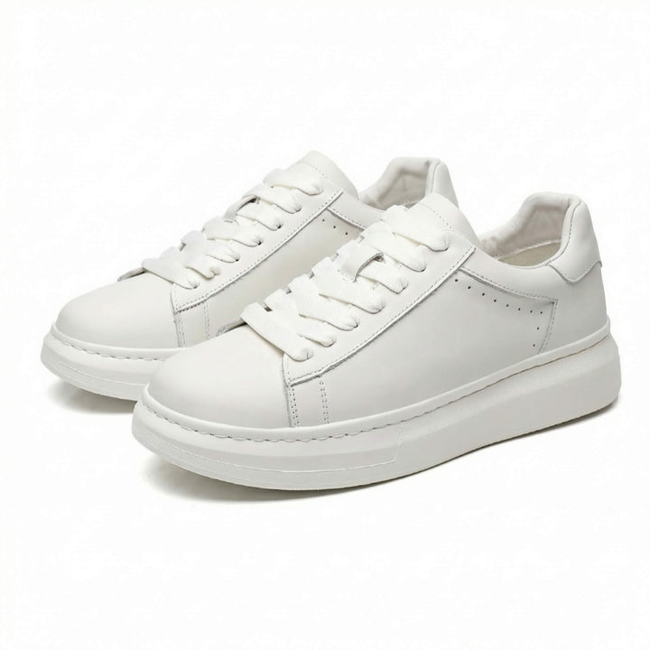 HARRINGTON | STREET SNEAKER FOR MEN