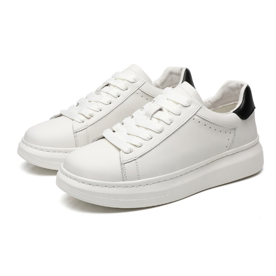 HARRINGTON | STREET SNEAKER FOR MEN