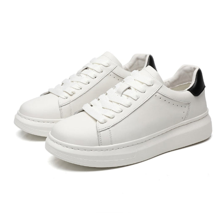 HARRINGTON | STREET SNEAKER FOR MEN